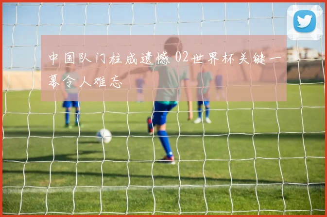 中国队门柱成遗憾 02世界杯关键一幕令人难忘