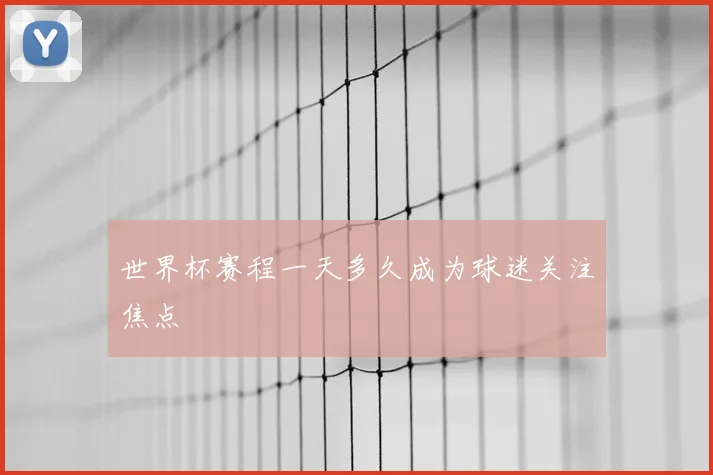 世界杯赛程一天多久成为球迷关注焦点