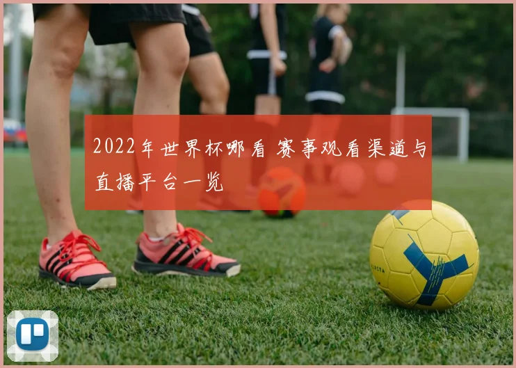 2022年世界杯哪看 赛事观看渠道与直播平台一览