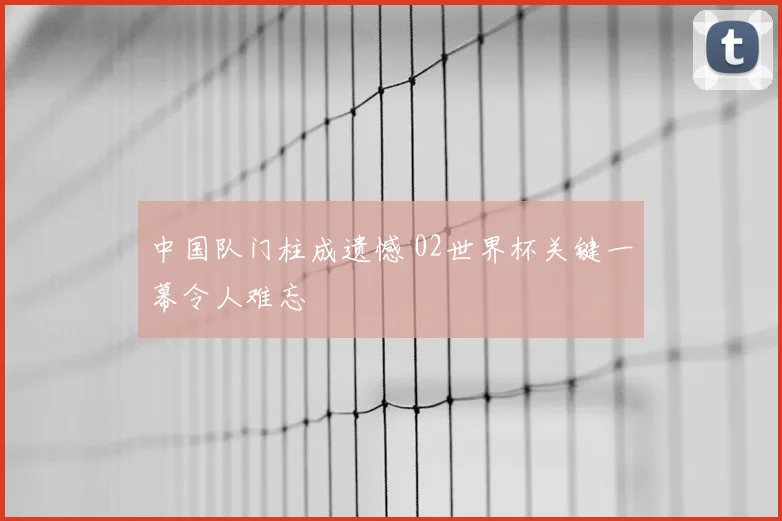 中国队门柱成遗憾 02世界杯关键一幕令人难忘