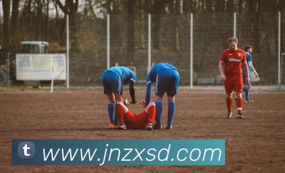 App Interface Preview